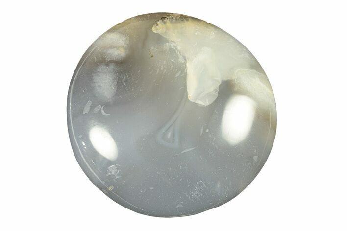 Polished Ocean Jasper Stone - New Deposit #261273